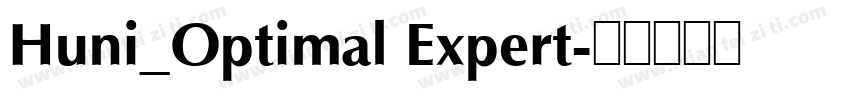 Huni_Optimal Expert字体转换